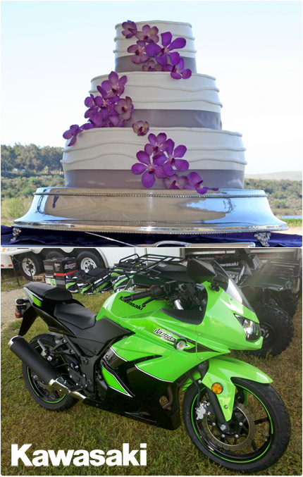 Kawasaki Ninja Commercial Wedding Cake