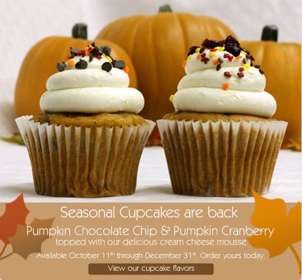 Seasonal Cupcakes are back Pumpkin Chocolate Chip & Pumpkin Cranberry