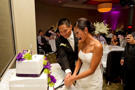 Wedding Cake Cutting with Patty's Cakes