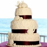 beach-wedding-sea-shells-home-made-look