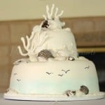 wedding-cake-beach-sea-shells-birds