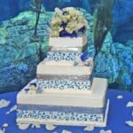 wedding cake blue silver ribbon long beach aquarium