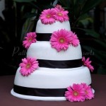 wedding cake white pink gerber daisey black ribbon round