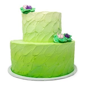 ombre 2 tier cake green